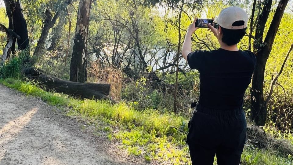 Leila A woman faces some trees photographing them, we cannot see her face.